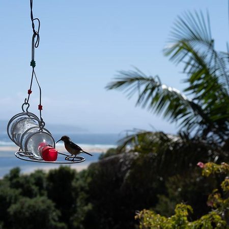Room With A View Plettenberg Bay Luaran gambar