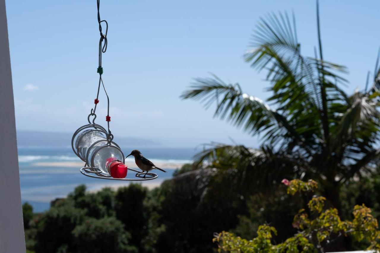 Room With A View Plettenberg Bay Luaran gambar